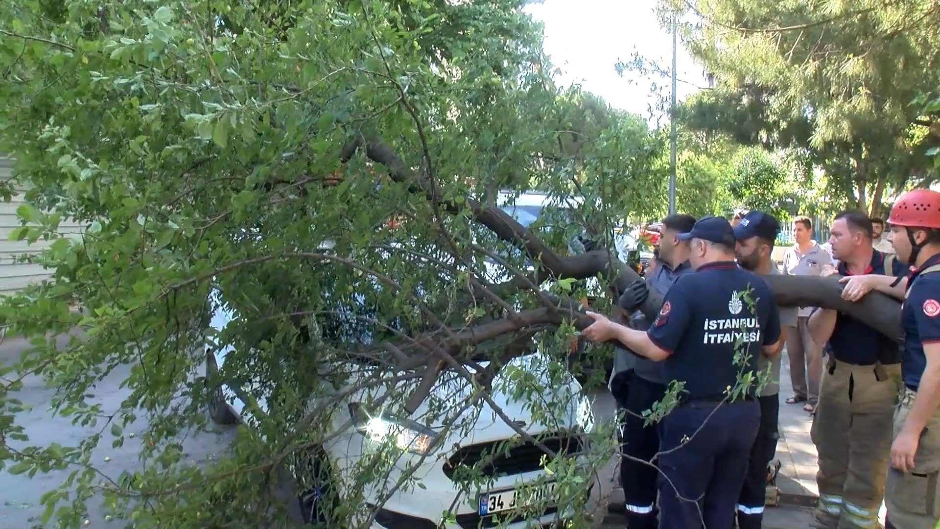 Kadıköy'de panik dakikaları: Ağaç otomobilin üstüne devrildi