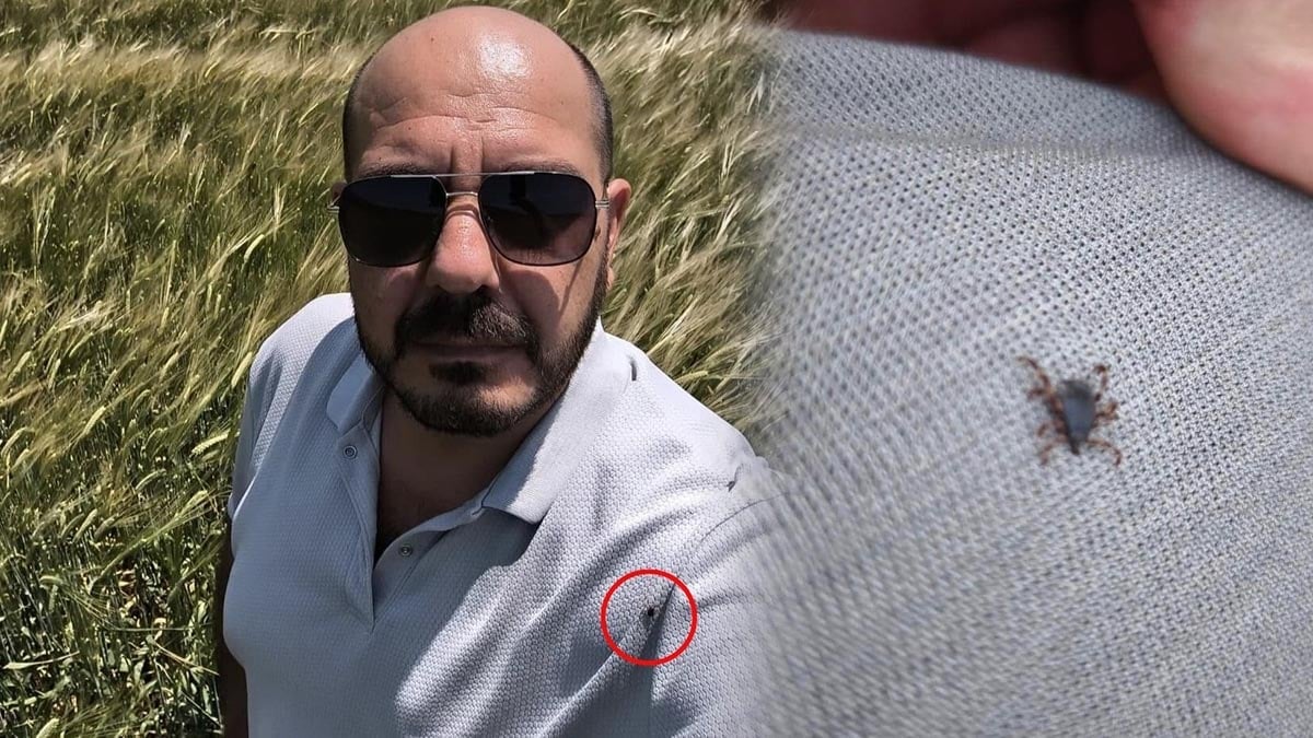 Son Dakika Haber Görseli