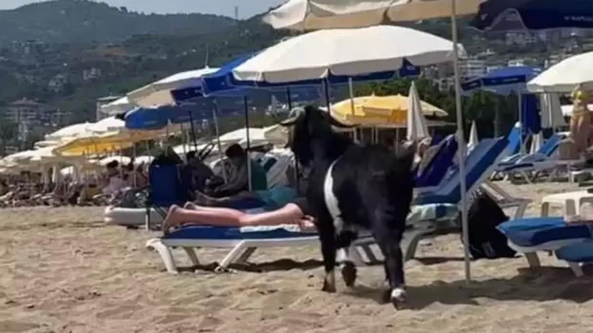 Son Dakika Haber Görseli
