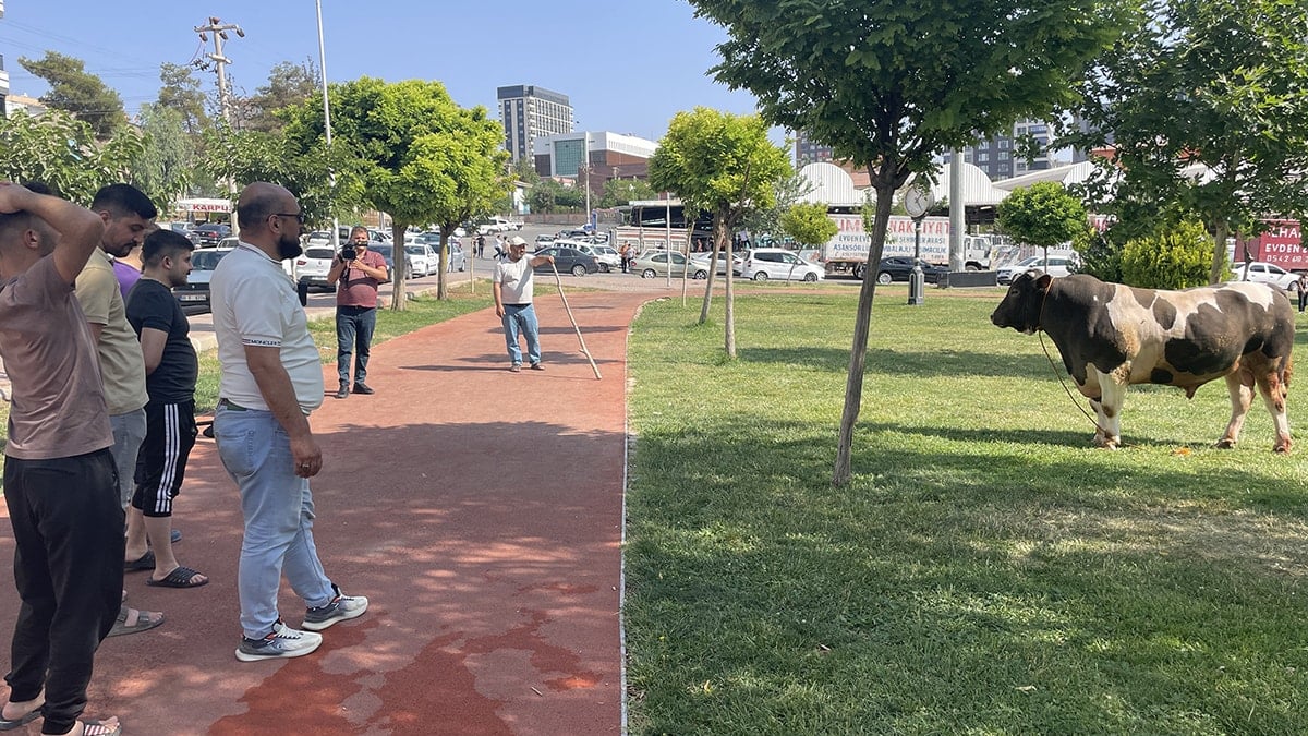 Kaçan kurbanlık parkta yakalandı