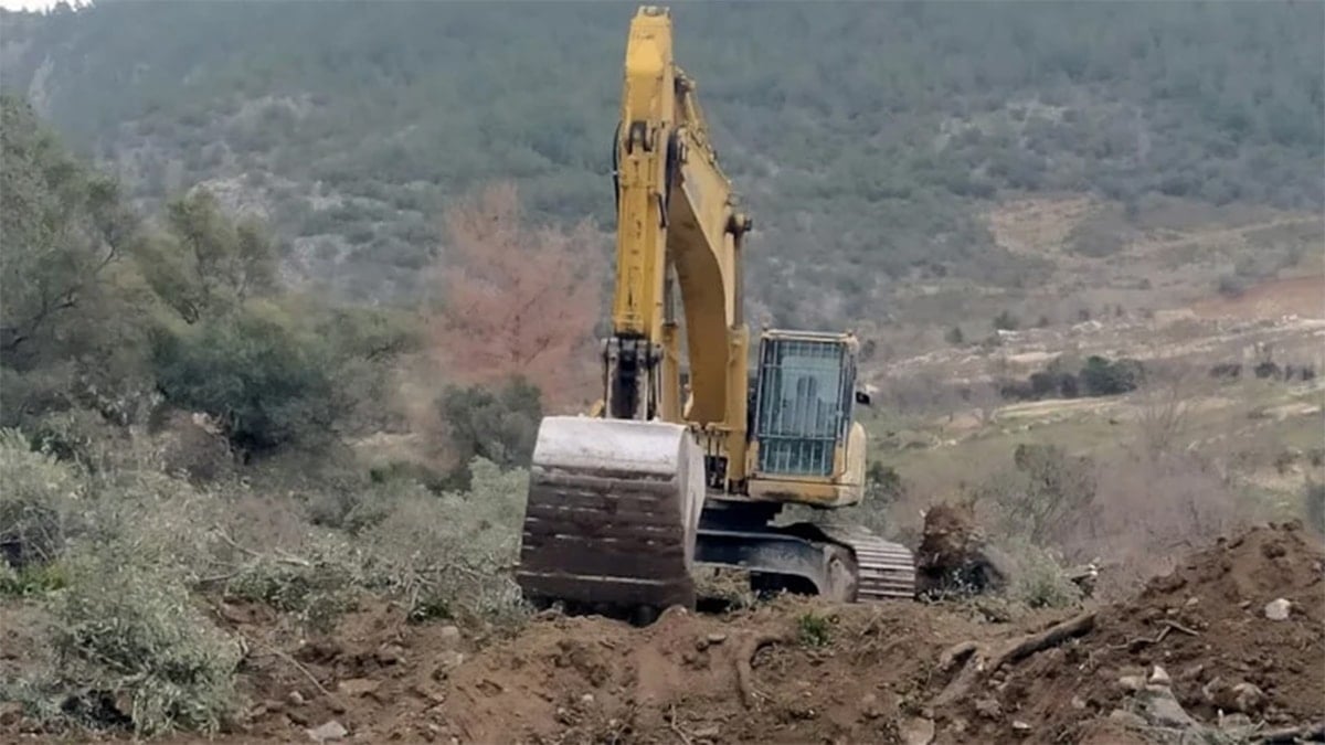 Limak: Zeytinlerin ‘etrafında’ maden arıyoruz
