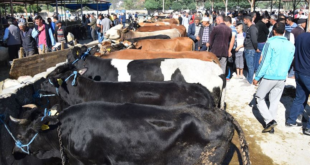 Kurban Bayramı'nın 2. Gününde Kurban Pazarlarındaki Hareketlilik Devam Ediyor: Satışlar Azaldı, Kesimler Tamamlandı