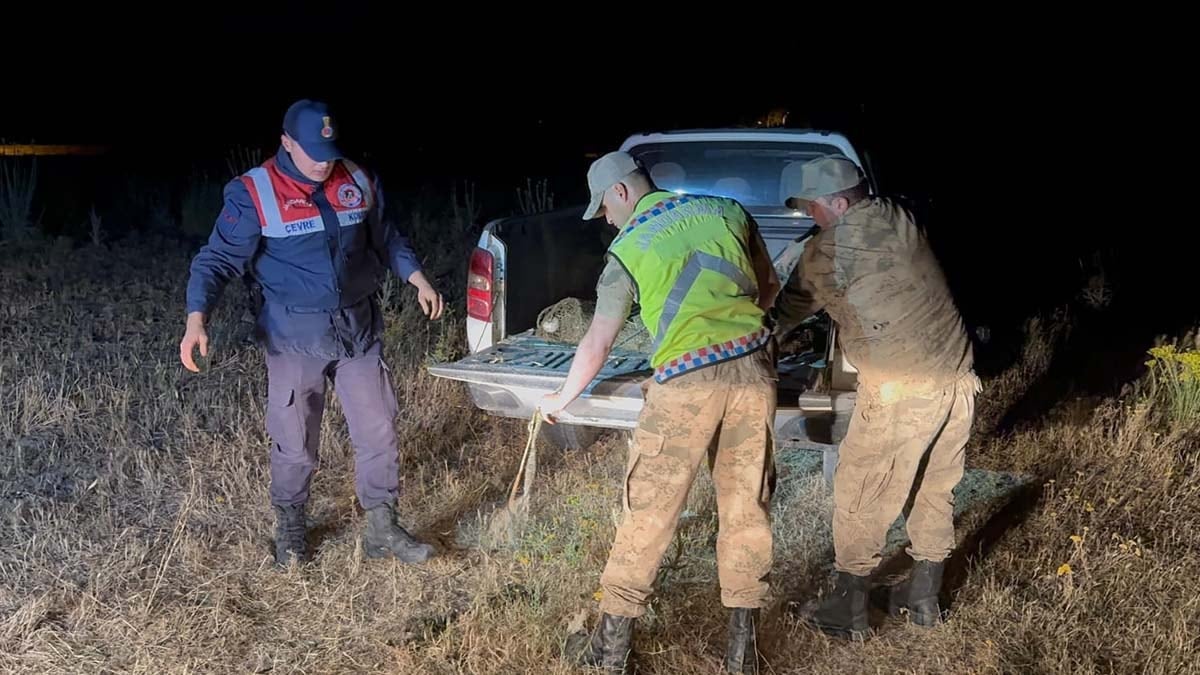 Jandarma Van Gölü'nde harekete geçti:  1 ton 500 kilogram suya bırakıldı