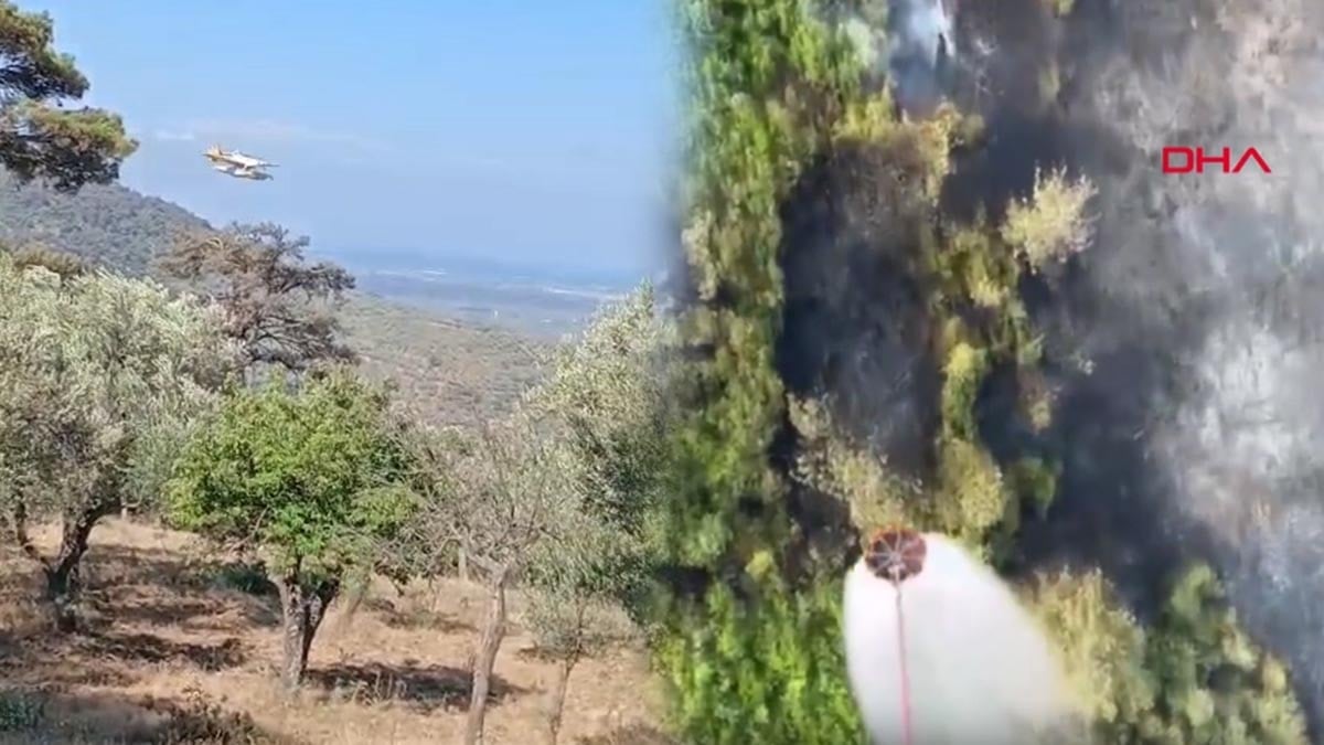 Balıkesir'deki orman yangını kontrol altına alındı
