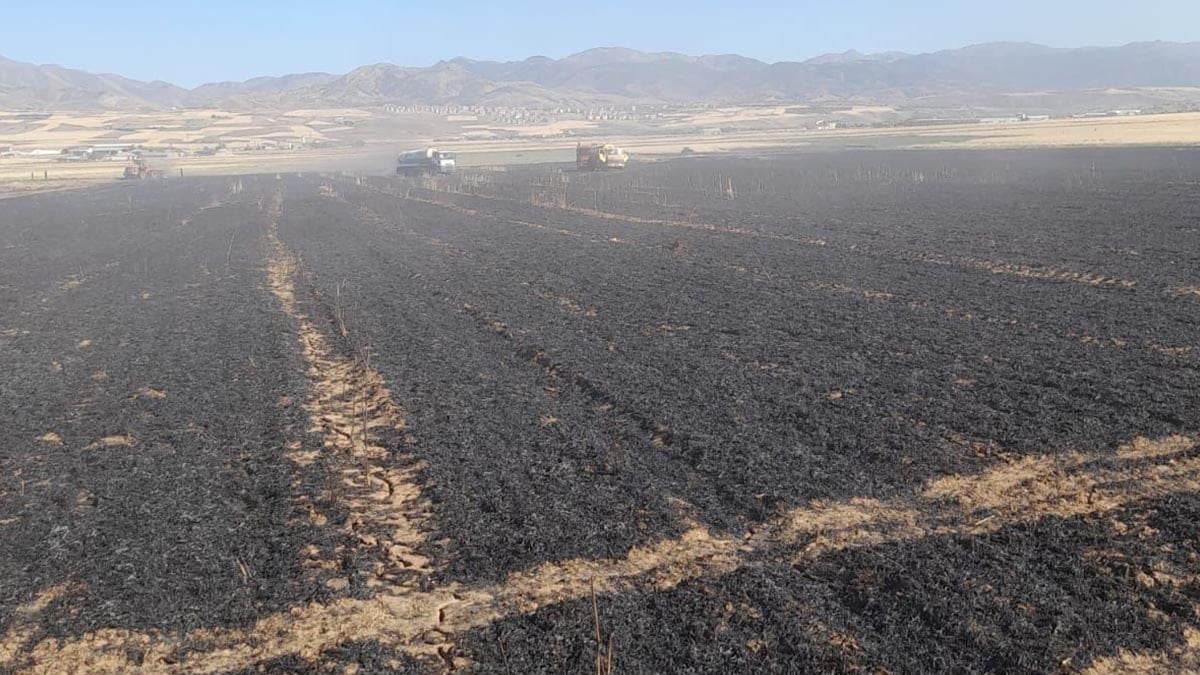 Elazığ Karakoçan’da tarla yangını: 50 dönüm ekili alan kül oldu