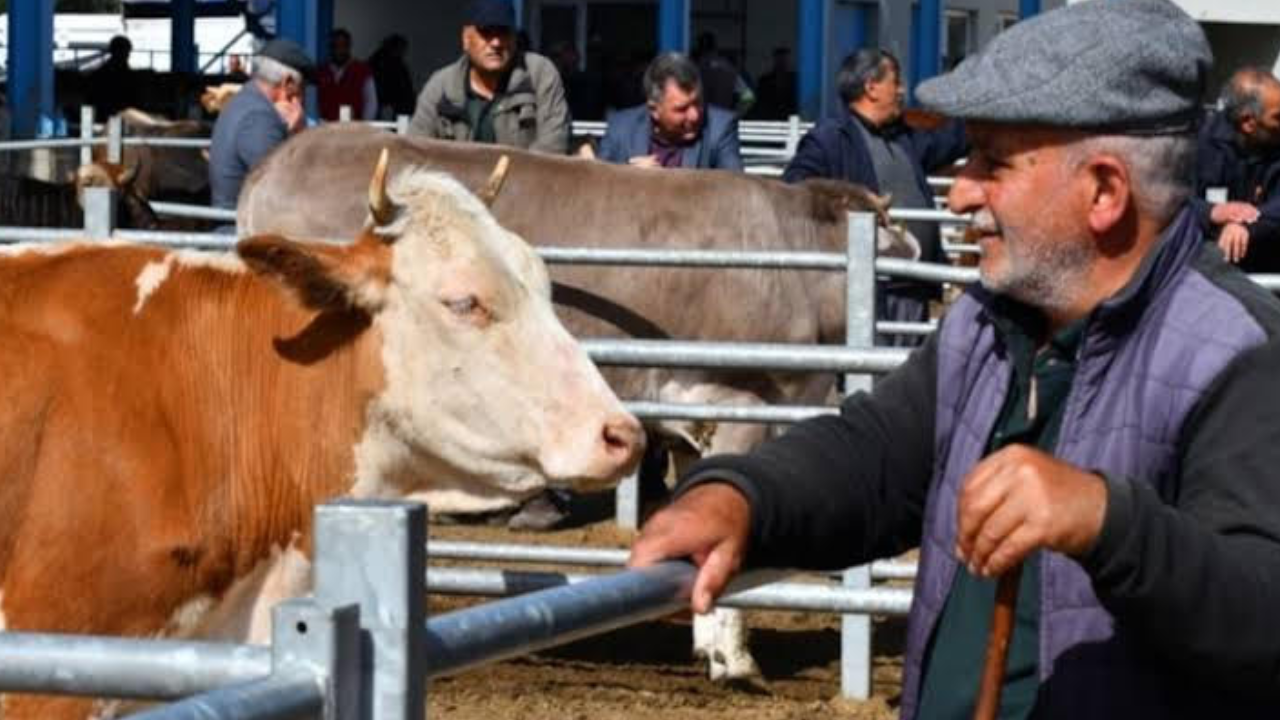 CHP’li vekil Gürsel Erol: Kurban Bayramında et değil yoksulluk konuşuluyor