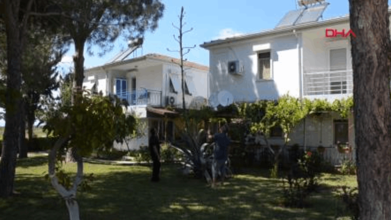 Antalya Serik'te Agave ağacı bulundu