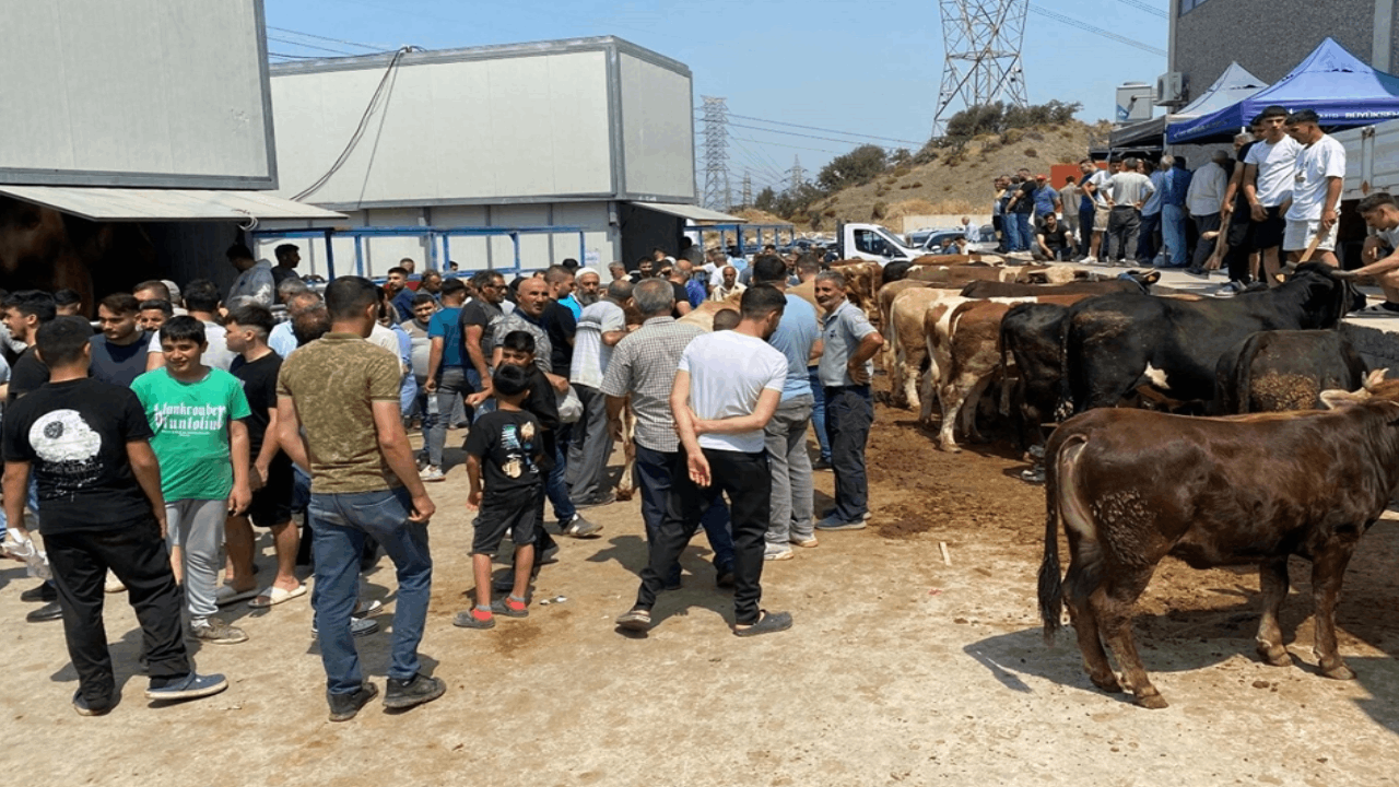 İzmir'de kurban kesim noktalarında yoğunluk
