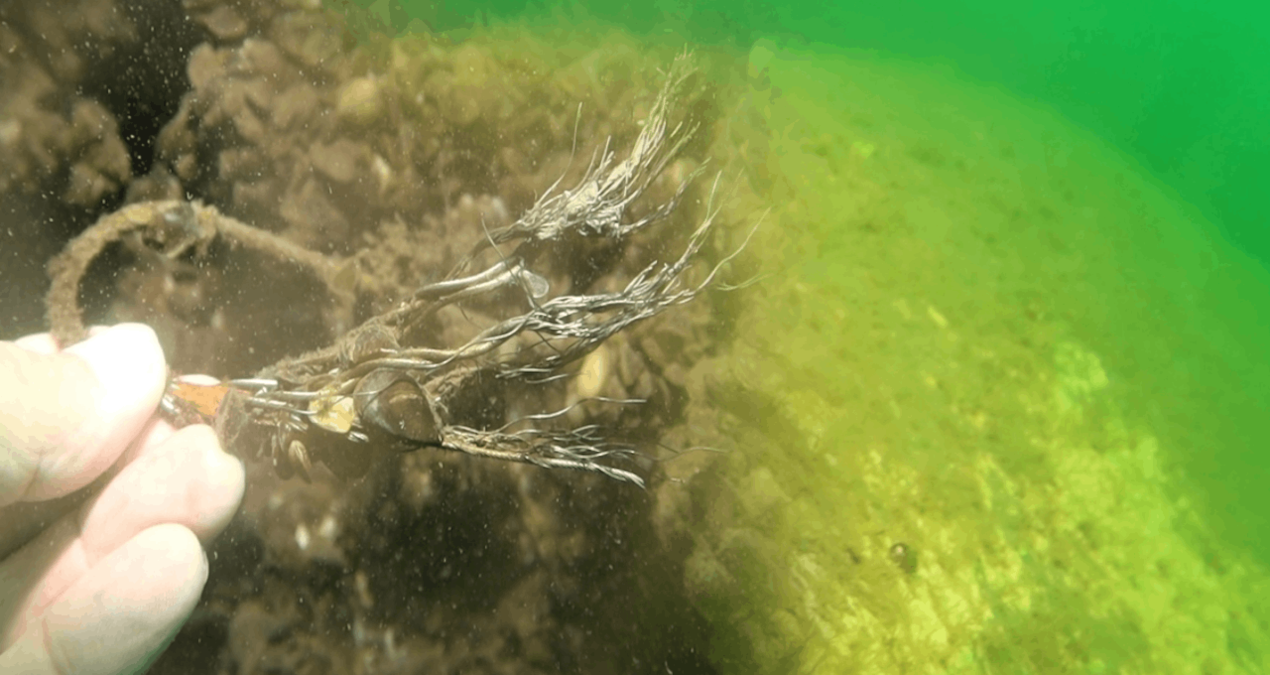 53 Yıl Sonra Sapanca Gölü'nün Dipindeki Gizemli Uçak Enkazı Ortaya Çıktı! Şok Eden Görüntüler