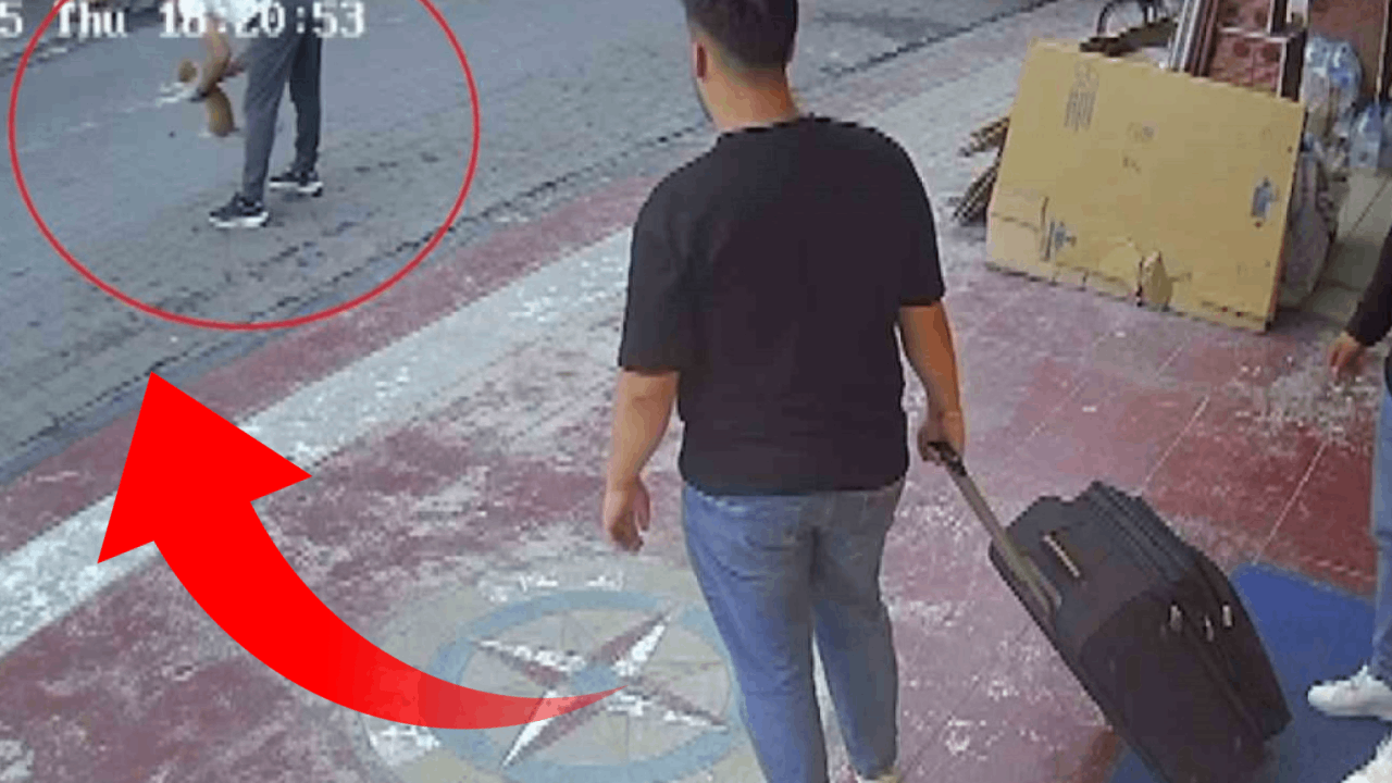 Ölmek üzere olan kediyi Heimlich manevrası kurtardı: O anlar kamerada