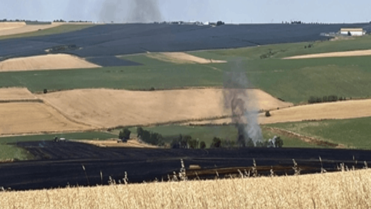 Tekirdağ'da 70 dönüm buğday yandı