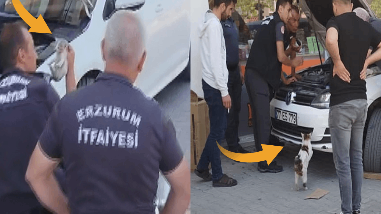 Son Dakika Haber Görseli
