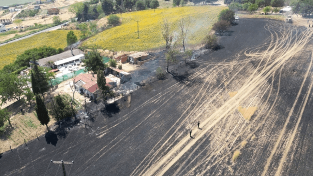 Trakya'da iki haftada 2 bin 750 dekar ekili alan yandı