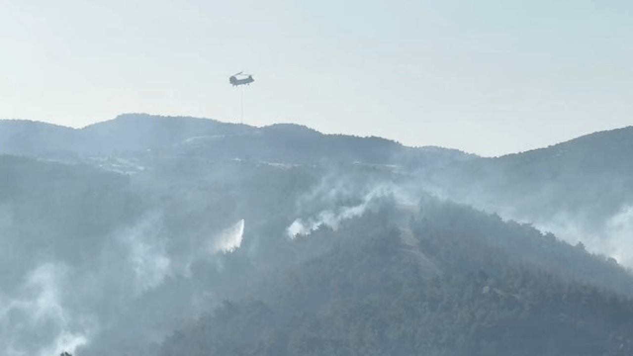 Manisa'daki orman 2 gündür yanıyor