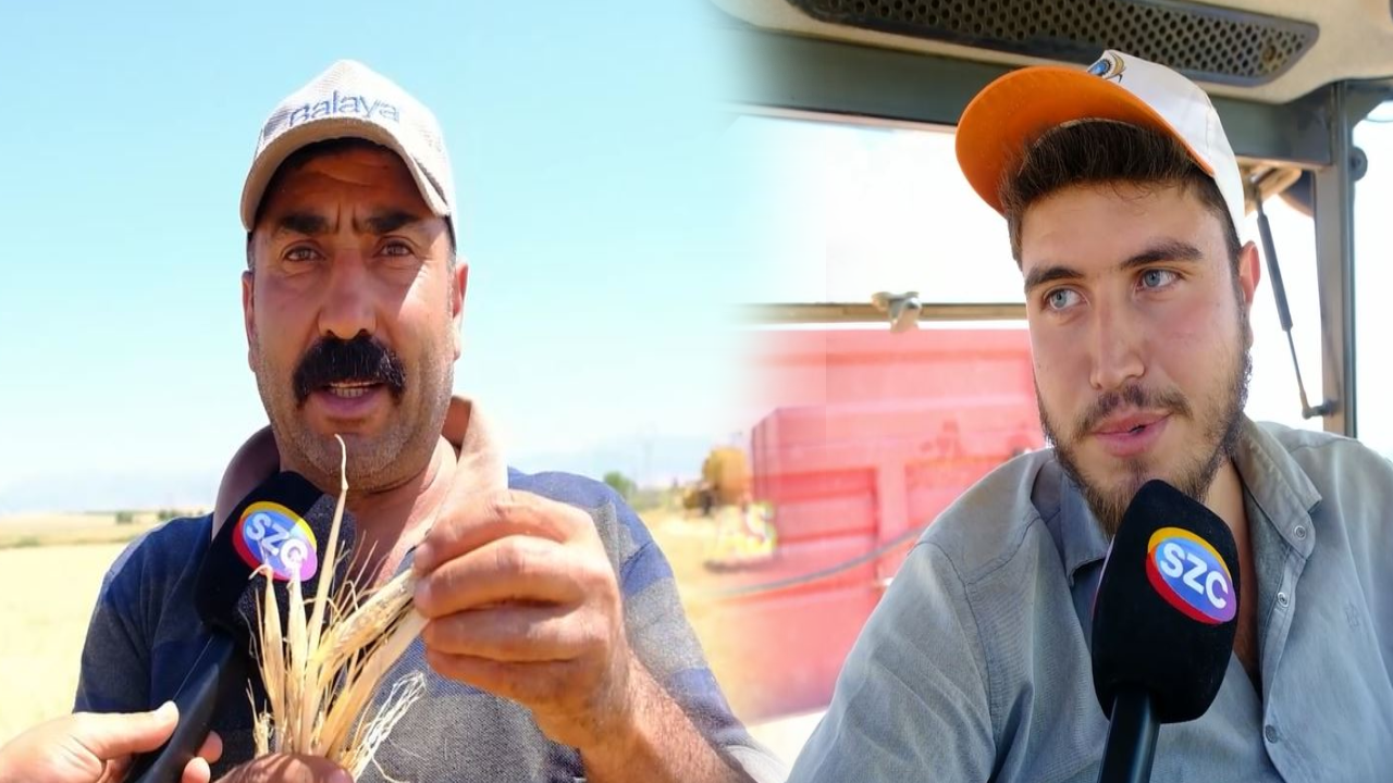 SÖZCÜ Konya’da çiftçilerle görüştü! Hububatta ‘hasat değil, zarar’ dönemi! Rekoltede büyük kayıp