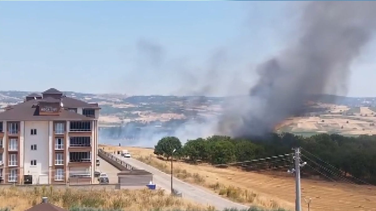 Bursa'da yürekleri ağza getiren anız yangını