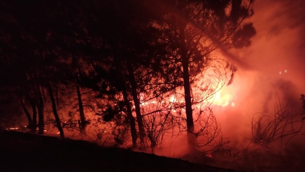 Bolu’da örtü yangını söndürüldü