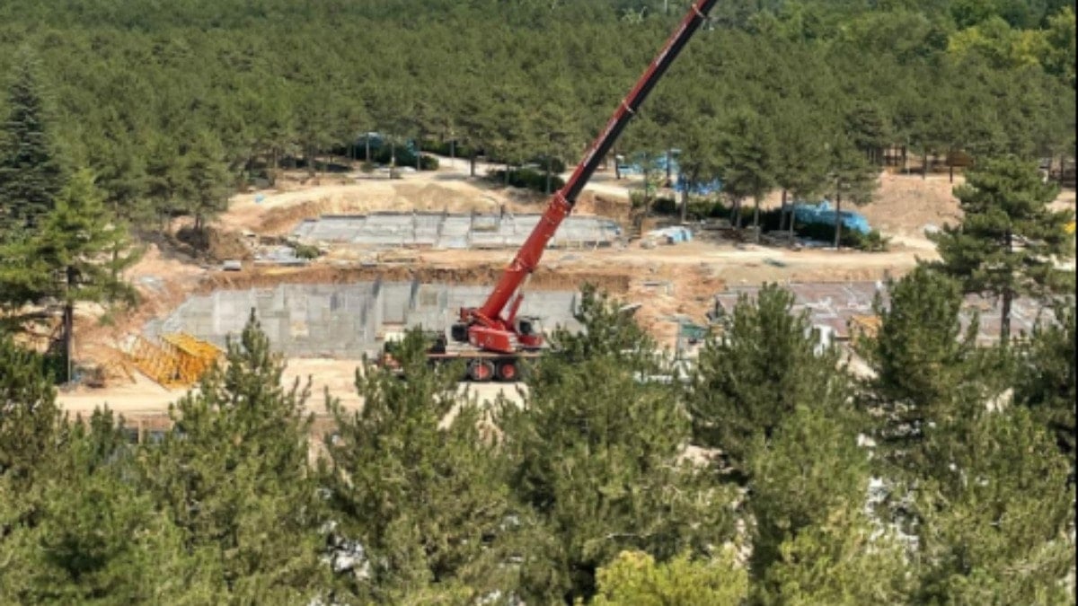 Orman müdürlüğü ormanı katlediyor
