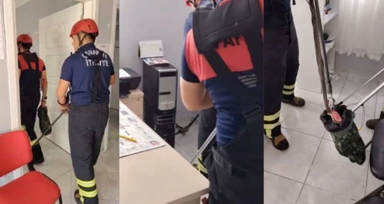 Osmaniye'de Aile Sağlığı Merkezi Panik: Sağlık Ocağına Giren Yılan Vatandaşları Kaçtırdı!