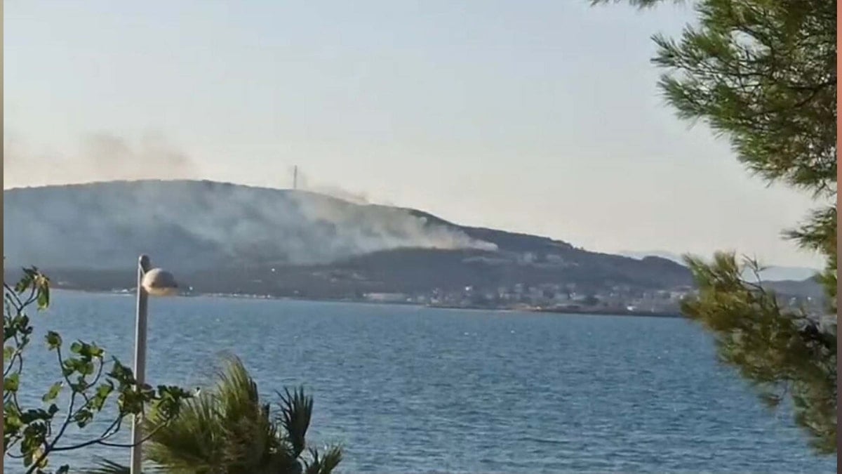 Cunda Adası’nda orman yangını
