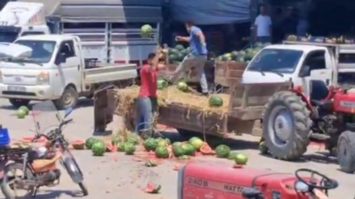 Karpuzları yere atıp parçalamışlardı: Rekor ceza kesildi