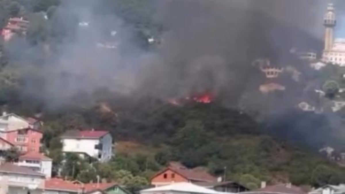 Beykoz'da orman yangını