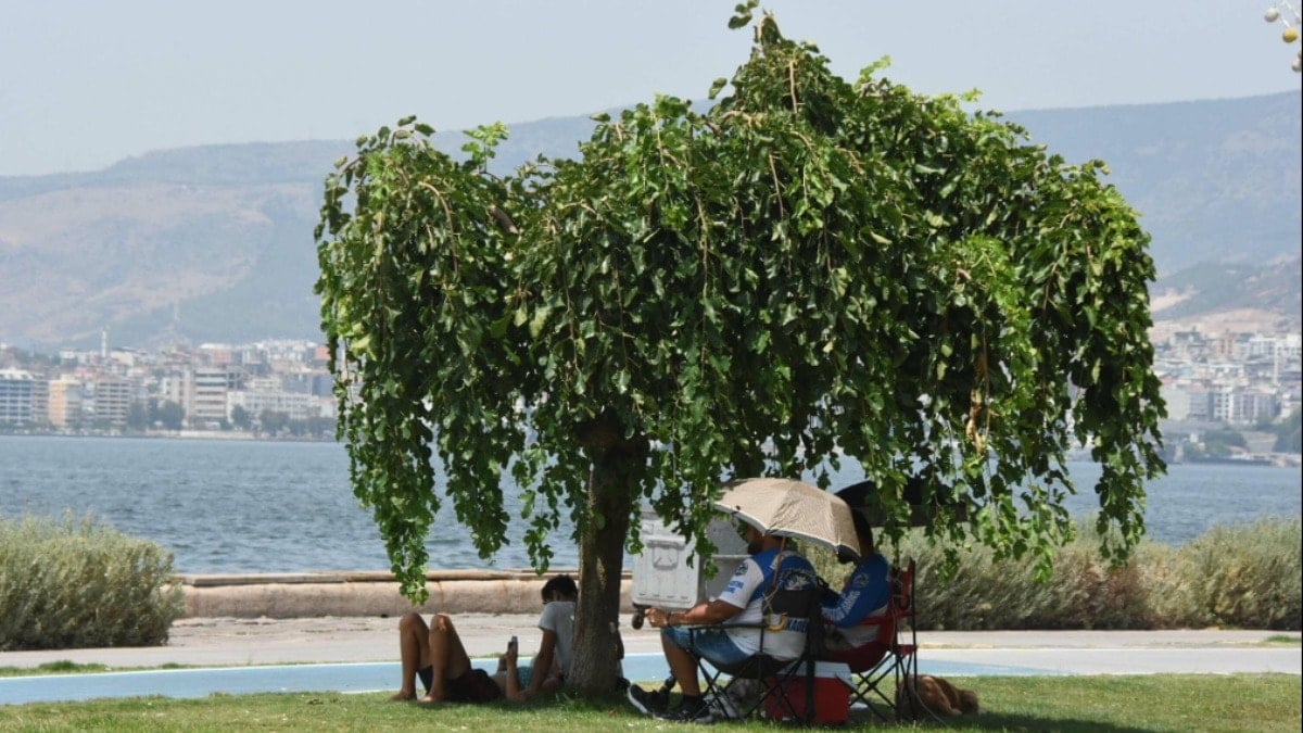 Bitmek bilmeyen sıcakların nedeni belli oldu... Yeni rekorlar yolda: Bu tarihlere dikkat!