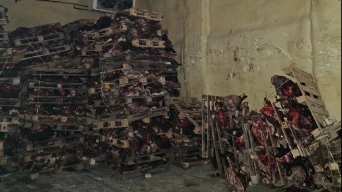 Çürümüş kafaları vatandaşlara yedireceklerdi! İstiflenmiş halde bulundu