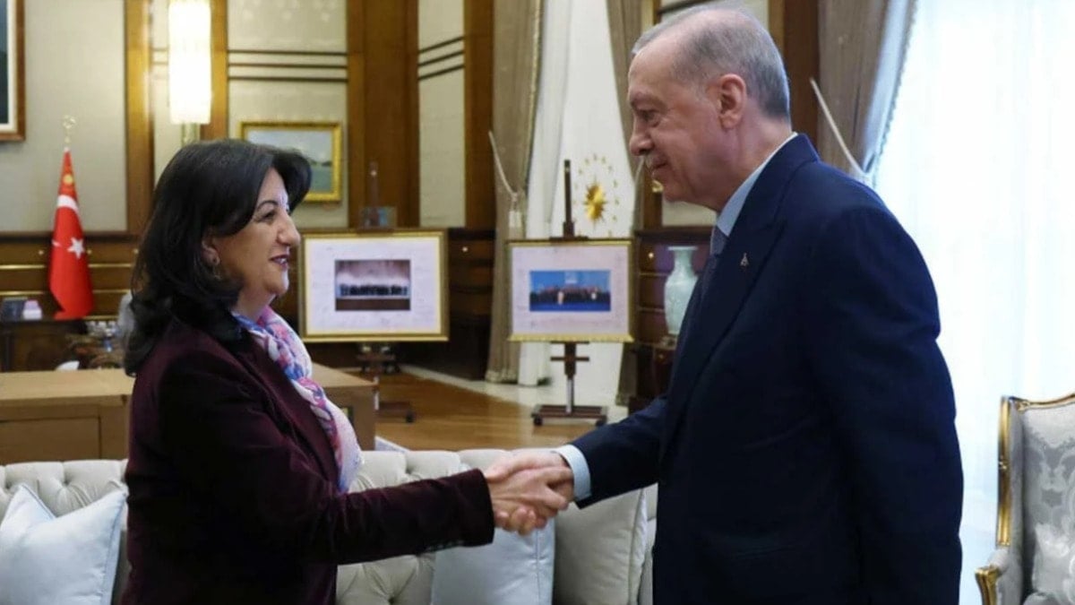 DEM Parti İmralı heyeti, Erdoğan'la görüşecek