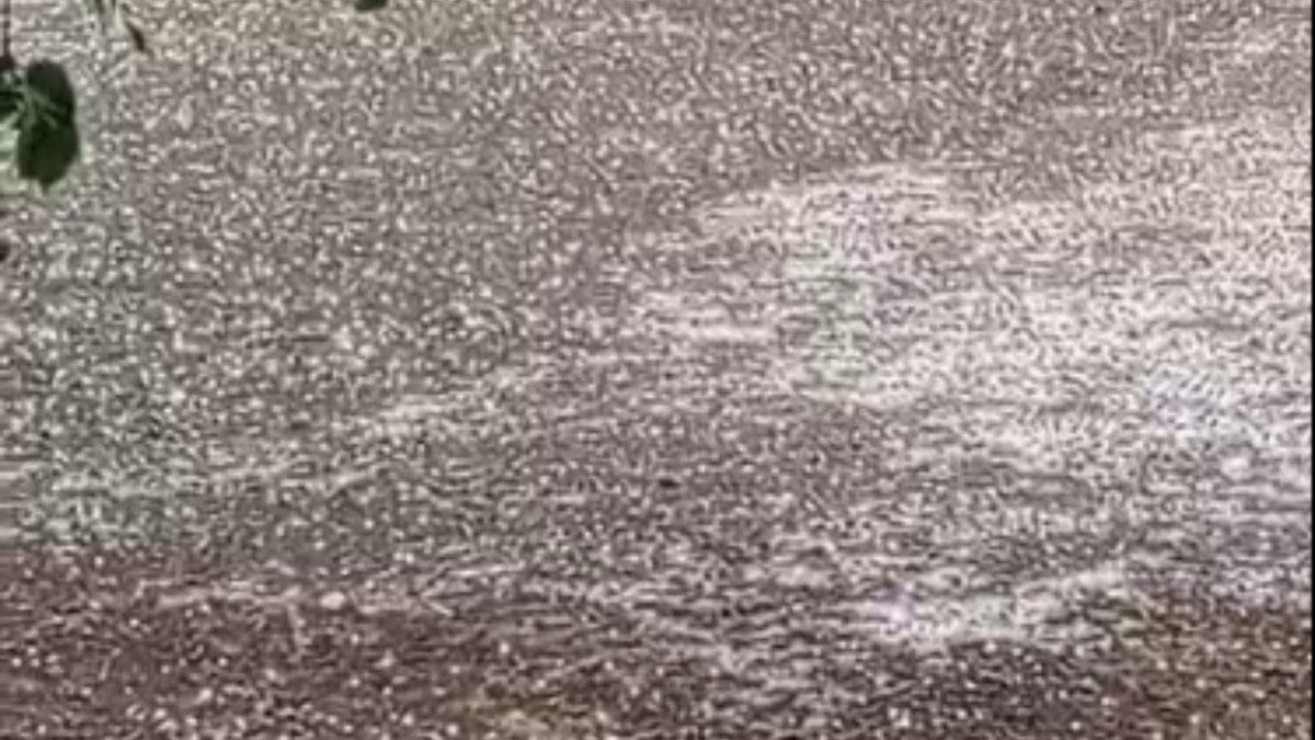 Elazığ'da dolu yağışı