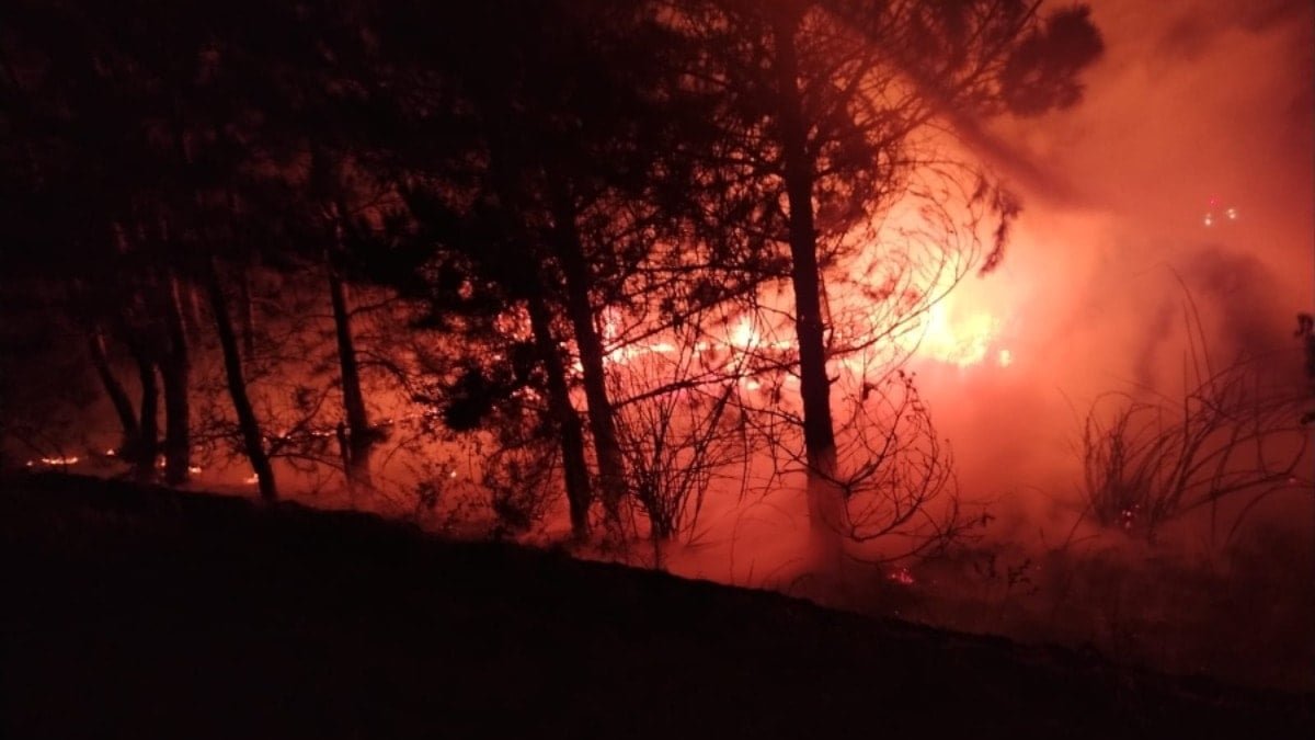 Bolu’da örtü yangını! Alevler kontrol altına alındı