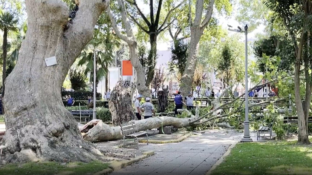 Son Dakika Haber Görseli