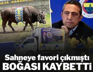 Ali Koç'un boğası Artvin'de kaybetti