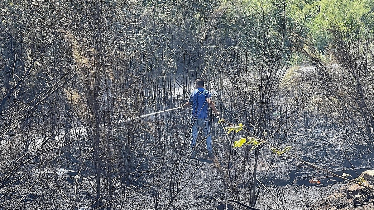 Sakarya’da çıkan orman yangını kontrol altına alındı