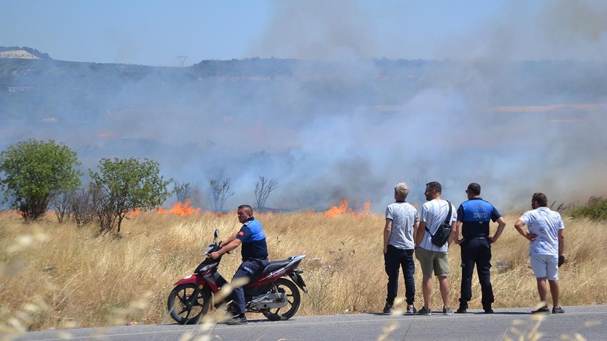 Balıkesir'in 3 ilçesinde orman yangını çıktı