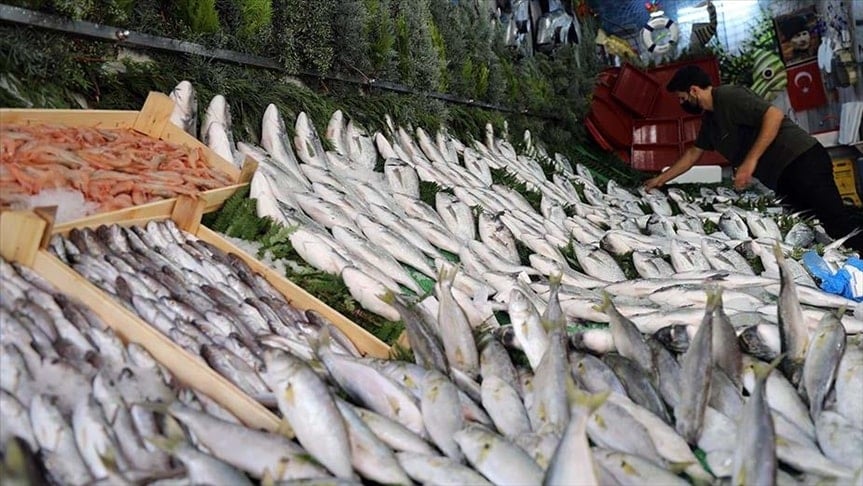 Çinekop, istavrit ya da palamut değil! Sağlığa en faydalı 3 balık bakın neymiş