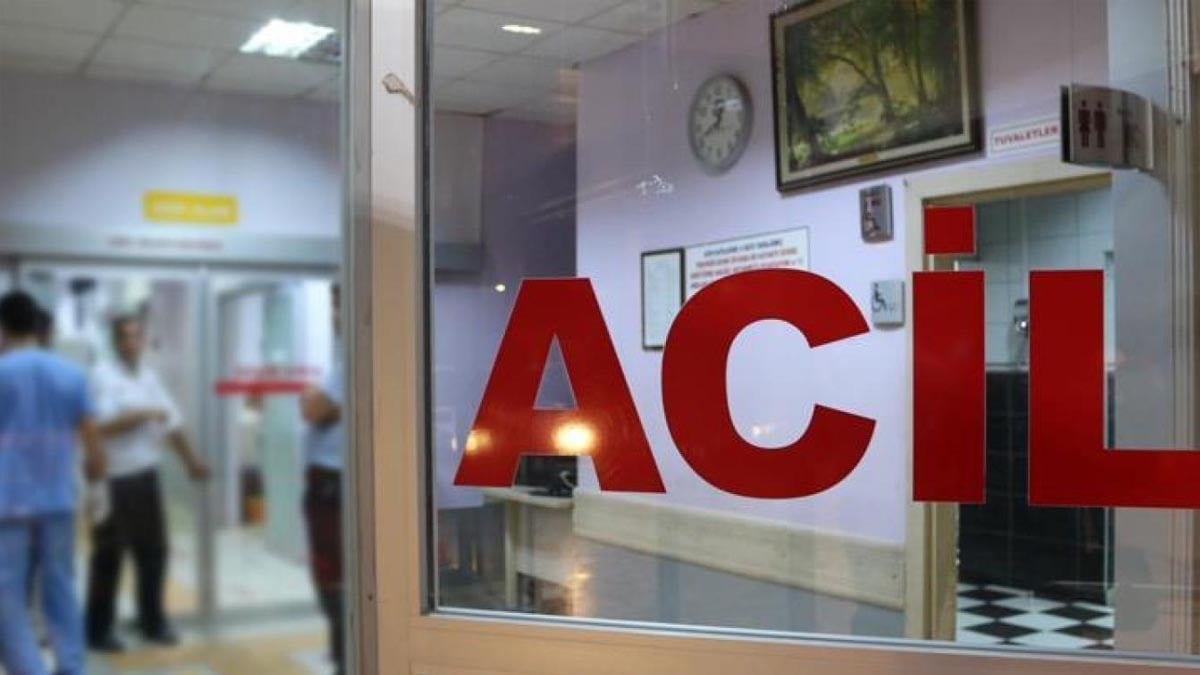 Milas’ta kamyonetin çarptığı yaya hayatını kaybetti