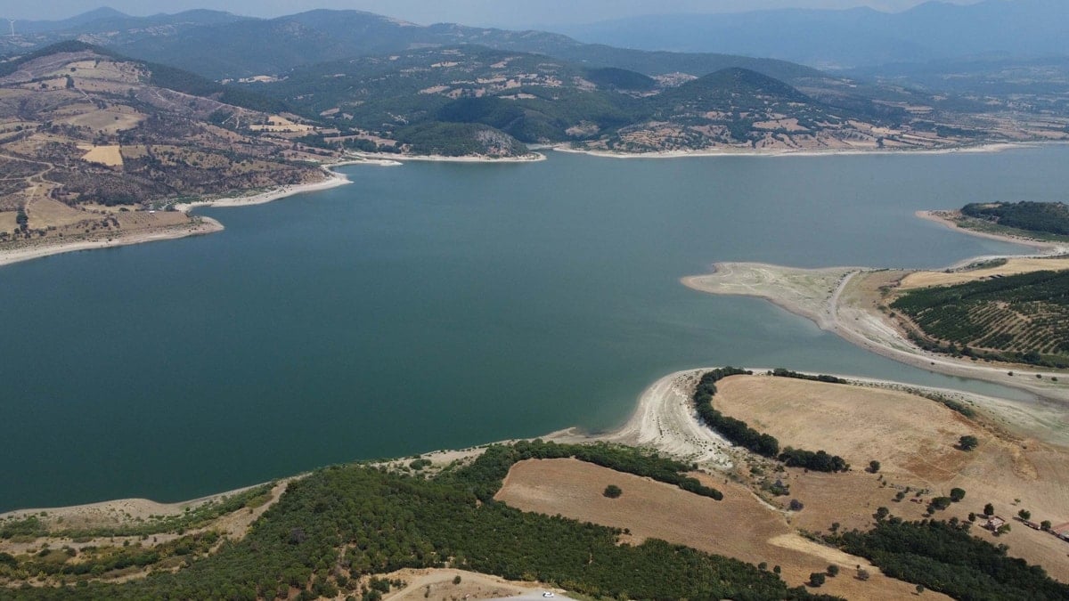 Korkutan tablo: 2 ayda yarı yarıya düştü