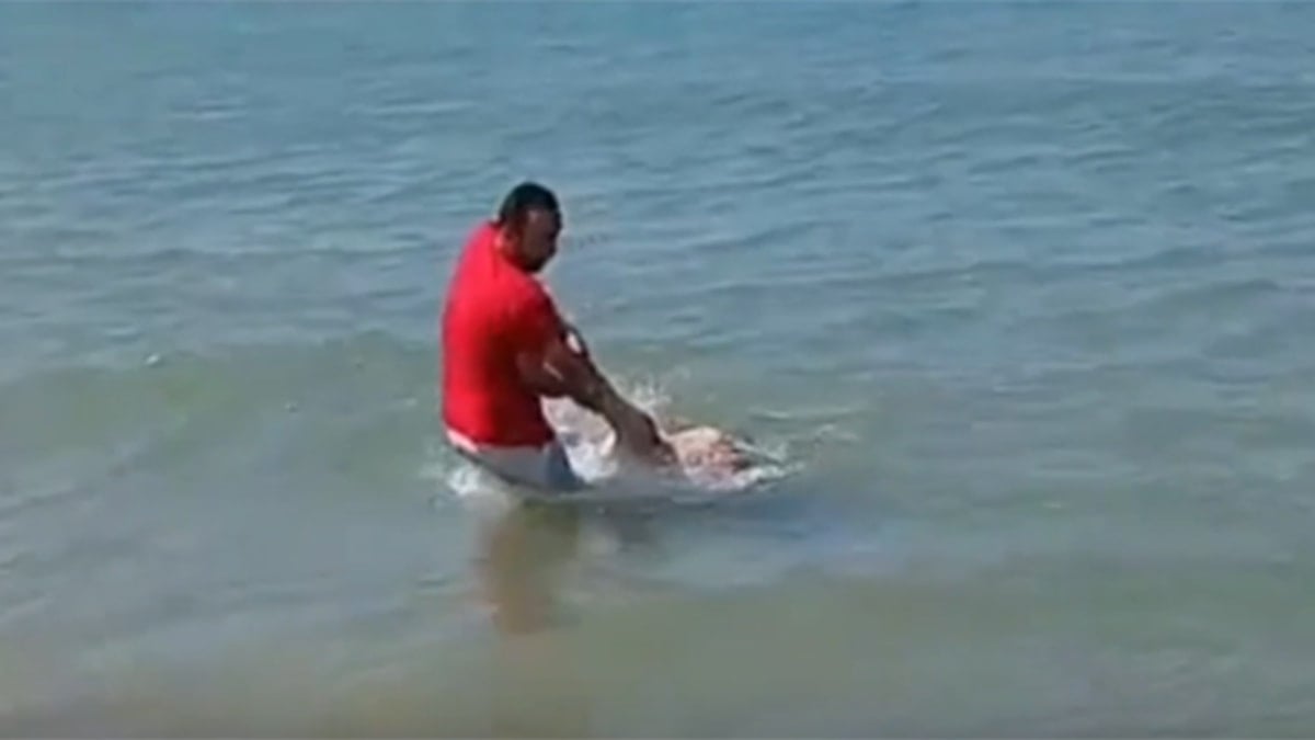 Sinop'ta denizde can pazarı yaşandı