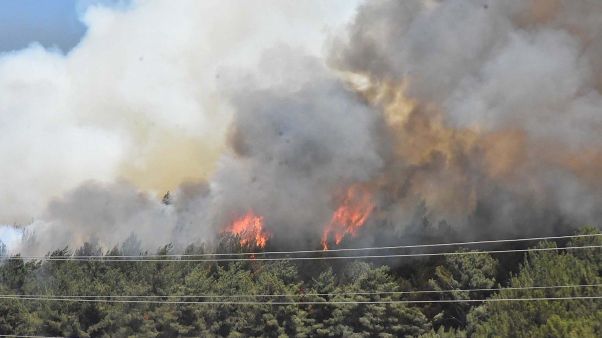 Buca'da ormana yakın evler boşaltılıyor