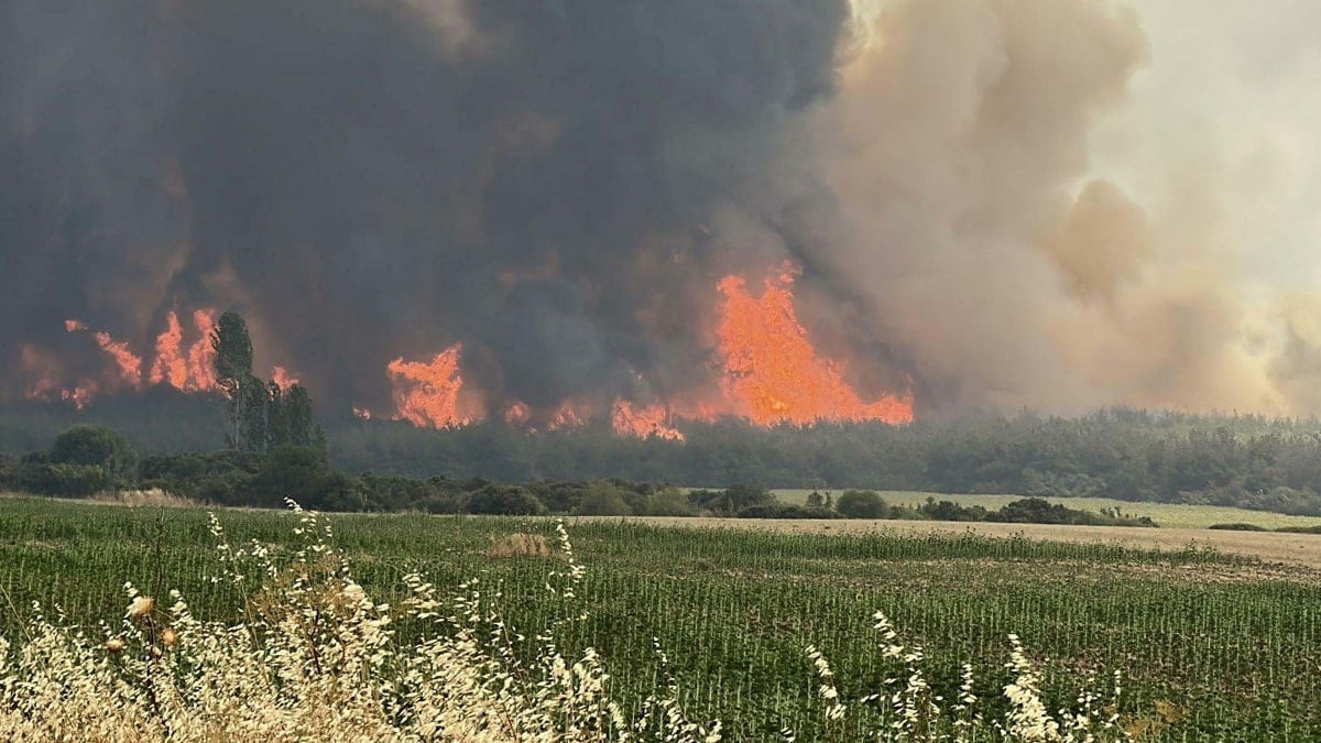 Çanakkale'de 85  orman zarar gördü