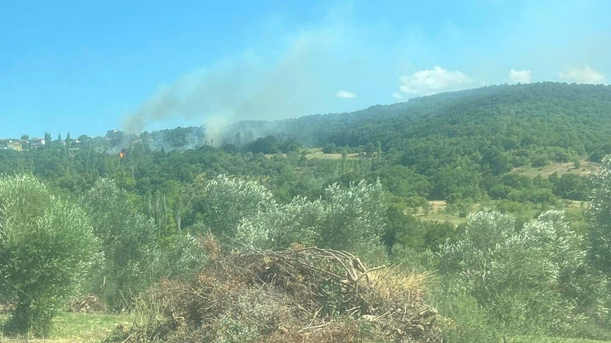 Çanakkale'de ciğerlerimiz sigara izmaritiyle yanmış!