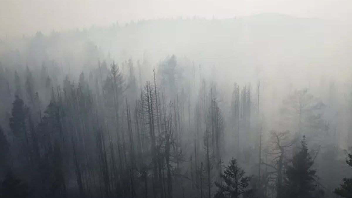 Son Dakika Haber Görseli