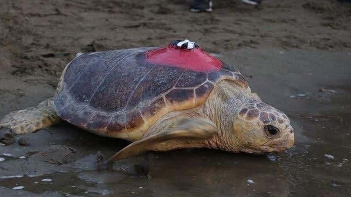 Son Dakika Haber Görseli