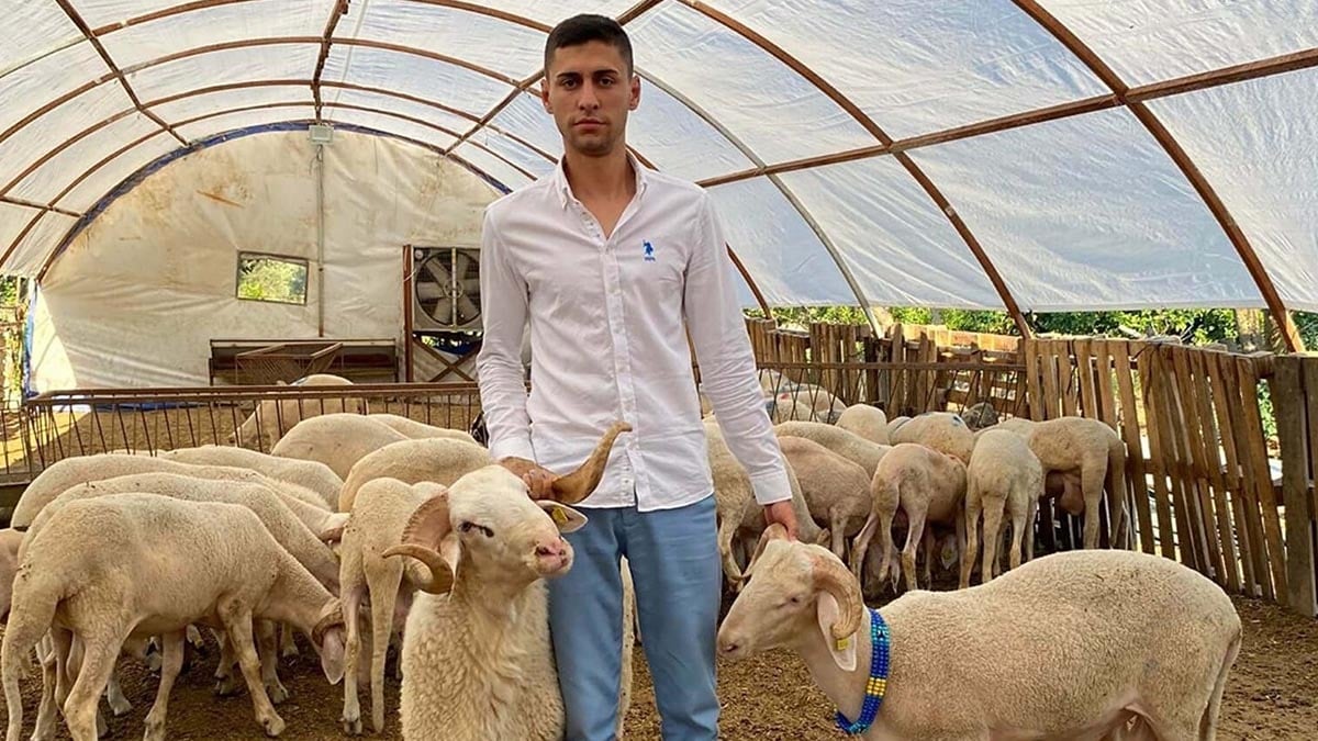 Dolandırıcıların hedefi hayvancılar oldu! Yüksek kar vaadiyle 80 milyon liralık vurgun