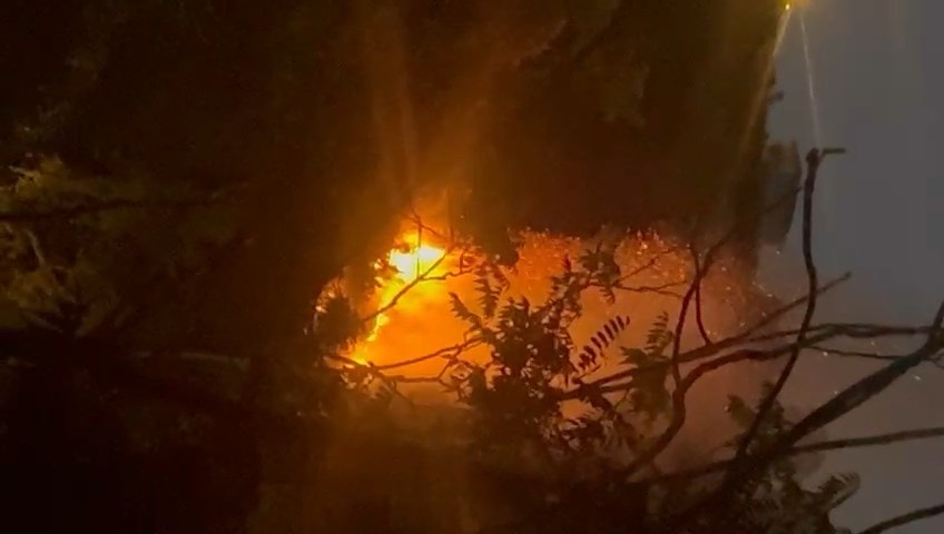 Son dakika... Atılan meşale yangın çıkardı! Beykoz'da orman yangını paniği