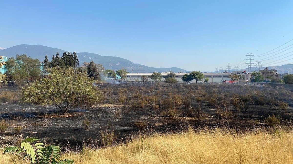 İzmir Bornova’da ot yangını AVM otoparkına sıçradı