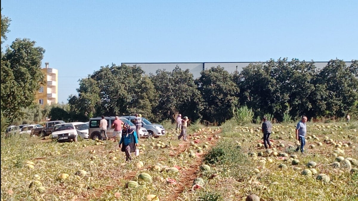 Bir mesaj attı: 120 ton 2 günde tükendi!