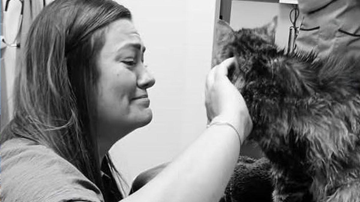 13 yıldır kayıp kedisini bir anda buldu