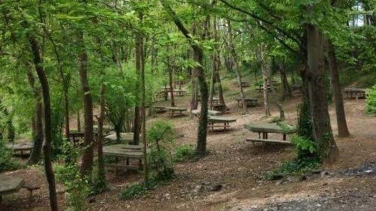 Bolu’da ateşli pikniğe yasak